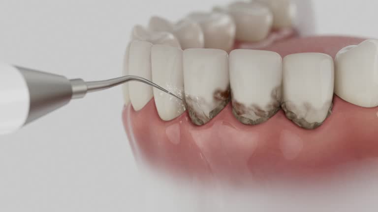 Reliable Dental contractor in Claypool Hill, VA by Dentist Open Now